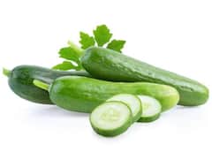 Health Tips : काकडी रात्री खावी की खाऊ नये? जाणून घ्या