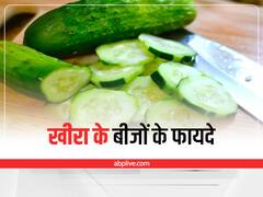 Cucumber Seeds: खीरा ही नही इसके बीजों में भी हैं कई गुण, शरीर को होते हैं ये फायदे