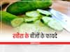 Cucumber Seeds: खीरा ही नही इसके बीजों में भी हैं कई गुण, शरीर को होते हैं ये फायदे