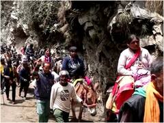 Chardham Yatra 2022: केदारनाथ मार्ग में पशुओं से क्रूरता पर 2 संचालकों के खिलाफ FIR, बिना रजिस्ट्रेशन काम लिया तो होगी कार्रवाई