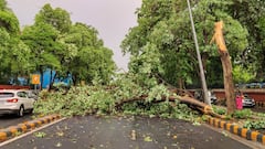 Delhi में तेज आंधी और बारिश ने मचाया कोहराम, 100 से ज्यादा उखड़े पेड, ट्रैफिक बूथ भी गिरे, दो की हुई मौत, रौंगटे खड़े कर देंगी तस्वीरें