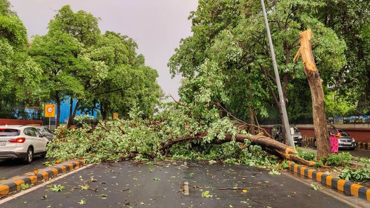 मौसम विभाग के एक अधिकारी ने बताया कि दिल्ली में 2018 के बाद से पहली बार ‘‘भीषण’’ का तूफान आया है. दिल्ली में शाम साढ़े पांच बजे 17.8 मिलीमीटर बारिश दर्ज की गयी और आंधी-तूफान से तापमान में भारी गिरावट दर्ज की गयी. सफदरजंग वेधशाला ने शाम पांच बजकर 40 मिनट पर 25 डिग्री सेल्सियस तापमान दर्ज किया जबकि दोपहर चार बजकर 20 मिनट पर 40 डिग्री तापमान था.