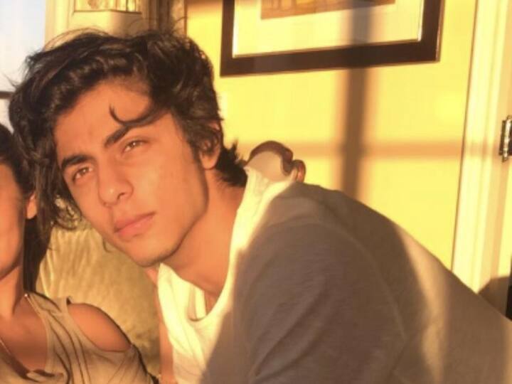 शाहरुख खान के बेटे आर्यन खान (Aryan Khan) भी हाइली क्वालिफाइड हैं. ख़बरों की मानें तो आर्यन खान फिल्ममेकर बनना चाहते हैं. आपको बता दें कि आर्यन ने यूनिवर्सिटी ऑफ़ सदर्न कैलिफोर्निया से बैचलर ऑफ़ फाइन आर्ट, सिनेमेटिक आर्ट्स, फिल्म एंड टेलीविजन प्रोडक्शन में ग्रेजुएशन किया है.