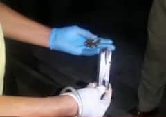 ਜਲੰਧਰ 'ਚ ASI ਨੇ ਸਰਕਾਰੀ ਰਿਵਾਲਵਰ ਨਾਲ ਖ਼ੁਦ ਨੂੰ ਮਾਰੀ ਗੋਲ਼ੀ