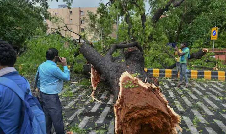 ਮੱਧ ਦਿੱਲੀ ਦੇ ਜਾਮਾ ਮਸਜਿਦ ਖੇਤਰ ਵਿੱਚ ਤੇਜ਼ ਤੂਫ਼ਾਨ ਕਾਰਨ ਇੱਕ ਗੁਆਂਢੀ ਦੀ ਬਾਲਕੋਨੀ ਦਾ ਇੱਕ ਹਿੱਸਾ ਡਿੱਗਣ ਨਾਲ ਇੱਕ 50 ਸਾਲਾ ਵਿਅਕਤੀ ਦੀ ਮੌਤ ਹੋ ਗਈ। ਇਹ ਹਾਦਸਾ ਉਸ ਸਮੇਂ ਵਾਪਰਿਆ ਜਦੋਂ ਉਹ ਆਪਣੇ ਘਰ ਦੇ ਬਾਹਰ ਖੜ੍ਹਾ ਸੀ। ਇਸ ਦੇ ਨਾਲ ਹੀ ਉੱਤਰੀ ਦਿੱਲੀ ਦੇ ਅੰਗੂਰੀ ਬਾਗ 'ਚ ਬਸੀਰ ਬਾਬਾ ਨਾਂ ਦੇ 65 ਸਾਲਾ ਬੇਘਰ ਵਿਅਕਤੀ 'ਤੇ ਪਿੱਪਲ ਦਾ ਦਰੱਖਤ ਡਿੱਗ ਗਿਆ, ਜਿਸ ਕਾਰਨ ਉਸ ਦੀ ਮੌਤ ਹੋ ਗਈ।ਇਕ ਬੱਚੇ ਸਮੇਤ ਪਰਿਵਾਰ ਦੇ ਤਿੰਨ ਮੈਂਬਰਾਂ ਨੂੰ ਬਚਾ ਲਿਆ ਗਿਆ।