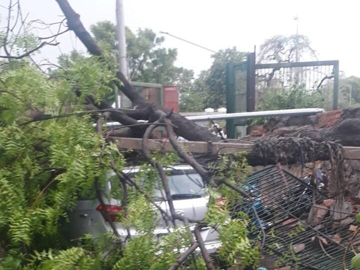 Due to heavy rain and storm in Delhi Over 500 trees were uprooted and many roads jammed Delhi Rain: दिल्ली में तेज आंधी और बारिश के कहर से करीब 500 पेड़ उखड़े, कई सड़कों पर लगा जाम