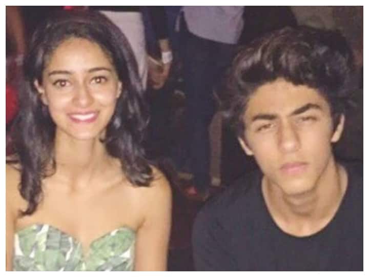 Never Gave Or Offered Drugs To Aryan Khan, Ananya Panday Tells NCB: Report Never Gave Or Offered Drugs To Aryan Khan, Ananya Panday Tells NCB: Report