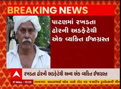 પાટણમાં રખડતા ઢોરનો આતંક, એક વ્યકિતનું મોત