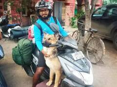 Watch: ये कोई आम कुत्ता नहीं! इसके Adventure देख आप भी हो जाएंगे हैरान