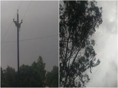 Chhattisgarh Monsoon Update: बस्तर में जल्द ही दस्तक देगा मानसून, जानें प्रदेश के अन्य हिस्सों में कब बदलेगा मौसम