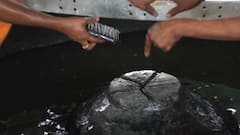 Gyanvapi Masjid Row: Hindu side demands investigation under the surface of 'Vazukhana'