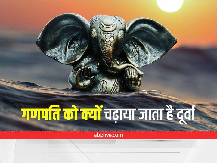 Know why we offer durva to ganesh ji these are the niyam and Mantra Significance Of Durva: आखिर गणपति को क्यों चढ़ाया जाता है दूर्वा, जानिए खास नियम और मंत्र