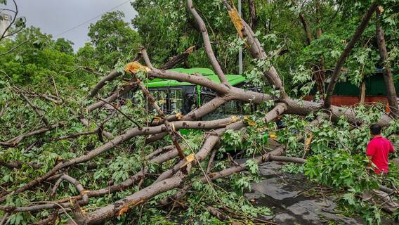 Delhi में तेज आंधी और बारिश ने मचाया कोहराम, 100 से ज्यादा उखड़े पेड, ट्रैफिक बूथ भी गिरे, दो की हुई मौत, रौंगटे खड़े कर देंगी तस्वीरें