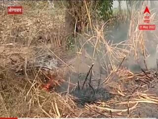 Sugarcane Sludge: ऊस कारखान्यात जाण्याची आशा मावळल्याने शेतकरी उसाला लावतोय आग