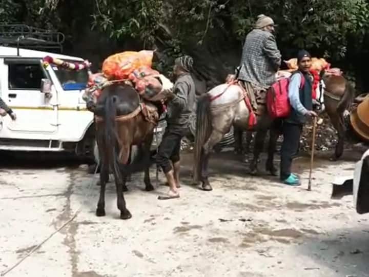 Kedarnath News 103 horses died in Yatra so far 20 member team assigned for this task ANN Kedarnath Yatra: केदारनाथ यात्रा में अब तक 103 घोड़े-खच्चरों ने अपनी जान गंवाई, मालिकों की लापरवाही से हो रही मौत