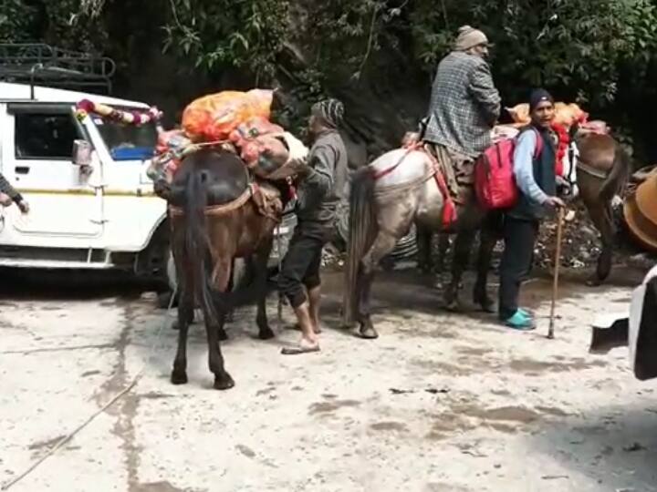 Kedarnath News 103 horses died in Yatra so far 20 member team assigned