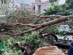 Delhi Rain : दिल्लीत मान्सून पूर्व पावसाचा हाहा:कार; दोन जणांचा मृत्यू