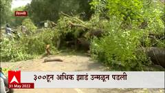 Delhi ला पावसानं झोडपलं, 300 हून अधिक झाडं उन्मळून पडलं इंटरनेट सेवा ठप्प : ABP Majha