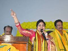 Divyavani Meet Chandrababu : ఫేక్ ట్వీట్‌తో తొందరపడ్డా - అన్నీ చంద్రబాబుకు చెప్పానన్న దివ్యవాణి !