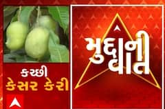 બજારમાં કચ્છી કેસર કેરીની એન્ટ્રી, ઉત્પાદન ઓછું થતા ખેડૂતો નિરાશ