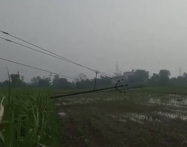 UP News, Electricity supply interrupted after storm in Baghpat, 150 factories closed ann Baghpat News: बागपत में आंधी-तूफान के बाद बिजली आपूर्ति में बाधा, 150 फैक्ट्रियां बंद हुईं, पानी को तरसे लोग