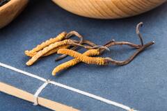 Cordyceps Benefits: सेक्सुअल हेल्थ को बेहतर करता है 'कीड़ा जड़ी', जानें इसके अन्य अद्भुत फायदे