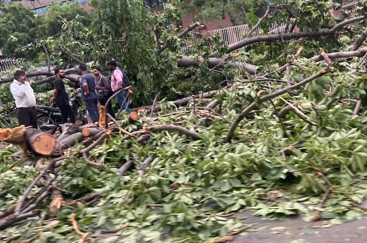 india heavy rain in delhi two killed 300 trees uprooted and heavy traffic jam after rain-2135261 Delhi Heavy Rain : दिल्लीत मान्सून पूर्व पावसामुळे जनजीवन विस्कळीत; दोन जणांचा मृत्यू, वादळामुळे 300 झाडं पडली