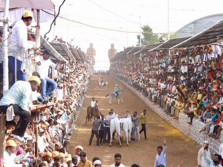 Devendra Fadnavis ने किया बड़ा दावा, बोले हमारे प्रयासों से महाराष्ट्र में फिर शुरू हुई बैलगाड़ी दौड़