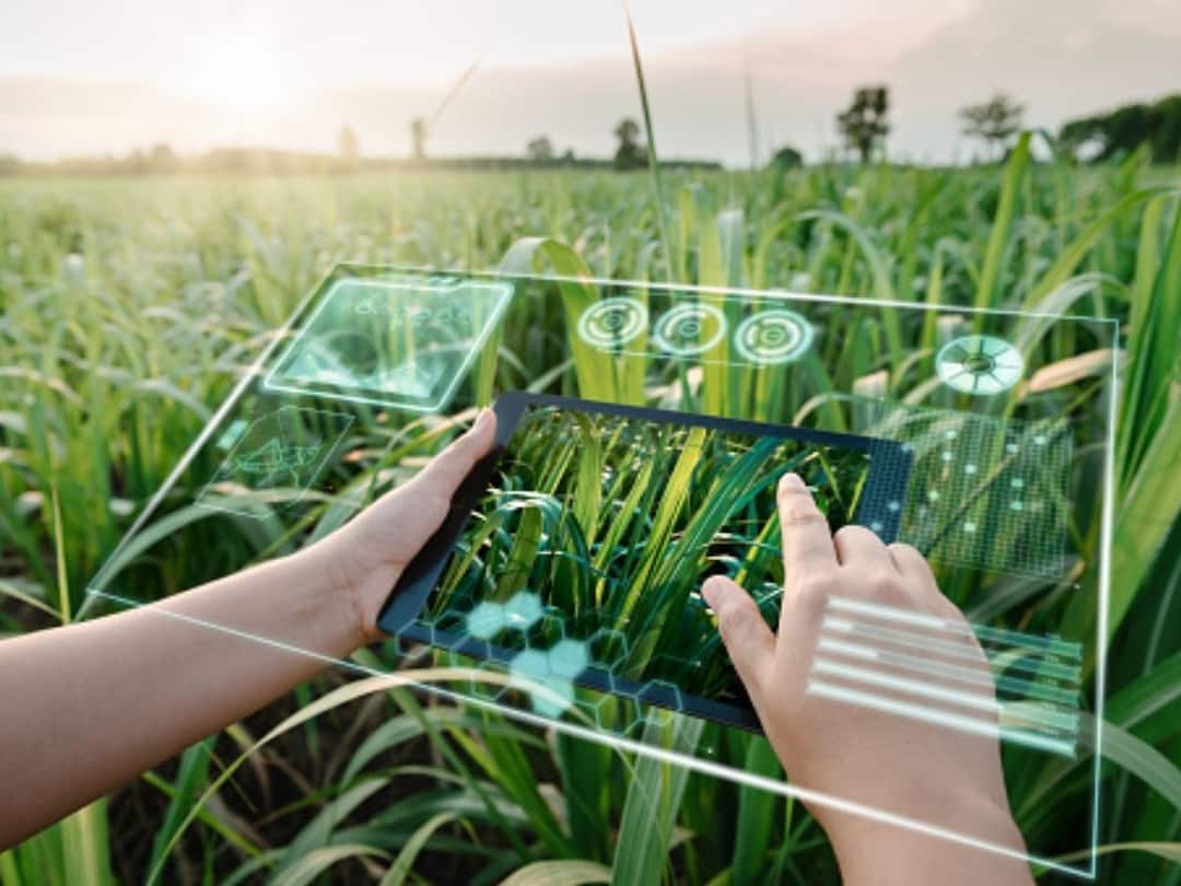 'Scale, Skill & Service' Is 3S Strategy To Transform AI Into Agri Intelligence: Report 'Scale, Skill & Service' Is 3S Strategy To Transform AI Into Agri Intelligence: Report