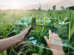 'Scale, Skill & Service' Is 3S Strategy To Transform AI Into Agri Intelligence: Report