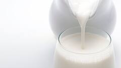 World Milk Day 2022: দুধের জন্যও বিশেষ দিন, বিশ্বজুড়ে পালিত দুধ দিবস