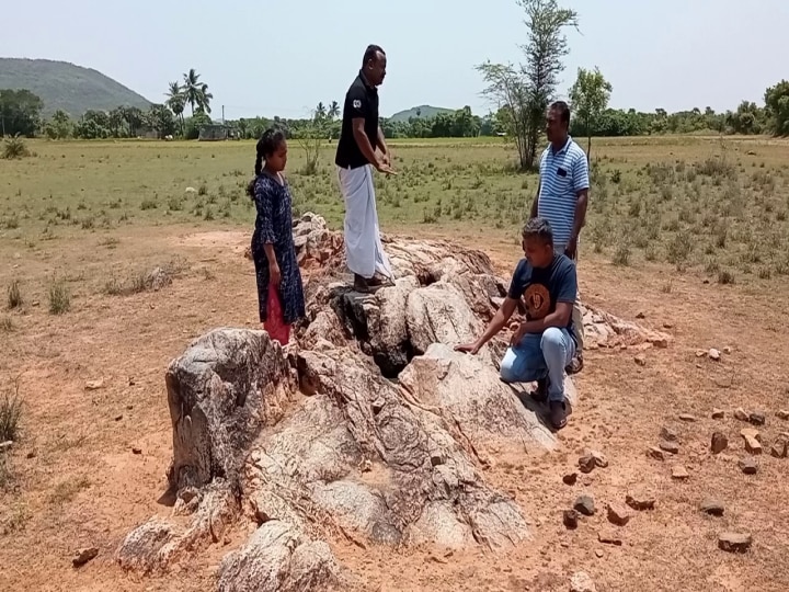 உத்தரமேரூர் : கண்டறியப்பட்டது 5000 ஆண்டுகள் பழமையான புதிய கற்கால மனித தடயங்கள்