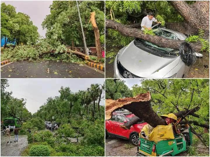 delhi many trees uprooted after severe storm in national capital Delhi News: दिल्ली में बीते दिनों आई आंधी में आखिर क्यों गिरे इतने ज्यादा पेड़, यहां जानें बड़ी वजह