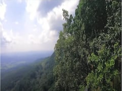 Madhya Pradesh Tourism: मध्य प्रदेश के इन हिल स्टेशनों का नहीं किया दीदार तो यात्रा है बेकार, यहीं बसती है असली जन्नत