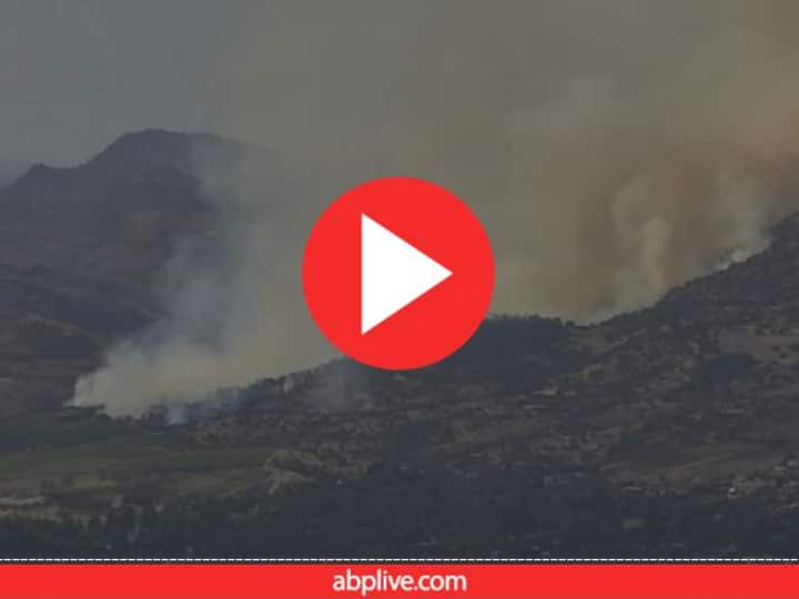california Napa forest fire video gone viral on internet acres of land got affected Napa Forest Fire: कैलीफॉर्निया के जंगलों में कई एकड़ तक लगी भीषण आग, देखिए ये वीडियो