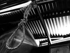 Pune Boy Death: బొమ్మకు ఉరి వేసిన బాలుడు, వెంటనే తానూ ఆత్మహత్య - ఎందుకో చెప్పిన పోలీసులు