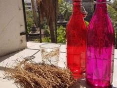 Khus Benefits: गर्मियों में पीते हैं 'खस शर्बत', तो जानें इसे पीने का सही तरीका, इन बीमारियों का है रामबाण इलाज