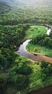 அதிசயங்கள் நிறைந்த அமேசான் காடு!