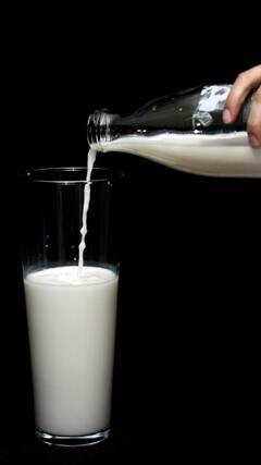 World Milk Day 2022 : जागतिक दूध दिनानिमित्त जाणून घ्या दुधाचा इतिहास