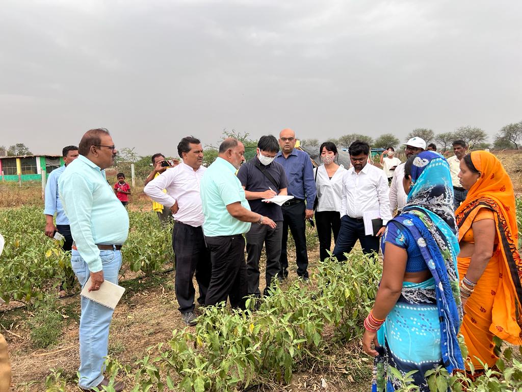 Chhattisgarh के गौठान को देखने के लिए पहली बार विदेश से आए लोग, की पूरे इकोसिस्टम तारीफ