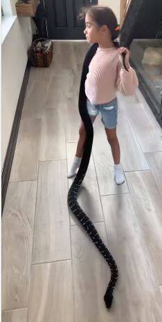 Shocking: ਇਹ ਬੱਚੀ ਕਿਸੇ ਤੋਂ ਨਹੀਂ ਡਰਦੀ! ਗਲੇ 'ਚ ਲਪੇਟਿਆ ਸੱਪ, ਵੀਡੀਓ ਵੇਖ ਕੇ ਤੁਹਾਡੇ ਹੋਸ਼ ਉੱਡ ਜਾਣਗੇ