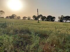 MP Weather Update: एमपी में मौसम फिर हुआ गर्म, 40 डिग्री के पार हुआ पारा, जानें- कब तक होगी मानसून की दस्तक