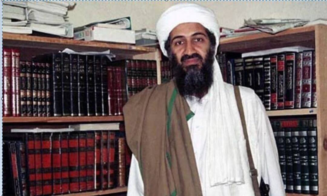 UP power discom officer suspended for placing Osama bin Laden’s photo in office Bin Laden Photo in Office: గవర్నమెంట్ ఆఫీస్‌లో బిన్‌లాడెన్ ఫోటో పెట్టుకున్న అధికారి