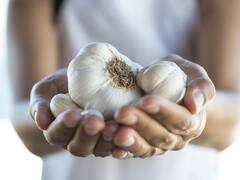 Benefits of Garlic : લસણના આ અદભુત ફાયદાઓ વિશે આપ અજાણ હશો, જાણો કેટલું ગુણકારી છે લસણ