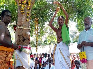 பத்திரிகை அடிச்சு அரச மரத்துக்கு கல்யாணம்..வேப்பமரம்தான் பொண்ணு!  திண்டுக்கல்லில் அடடே திருமணம்!
