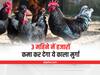 Poultry Farming for Better Income: लाखों का मुनाफा देगी कड़कनाथ मुर्गे की Poultry, इस तरह से करें Management