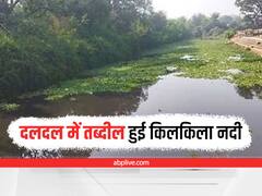 Satna News: कभी बेशकीमती हीरे उगलने वाली पन्ना की किलकिला नदी हुई जहरीली, दलदल में हुई तब्दील