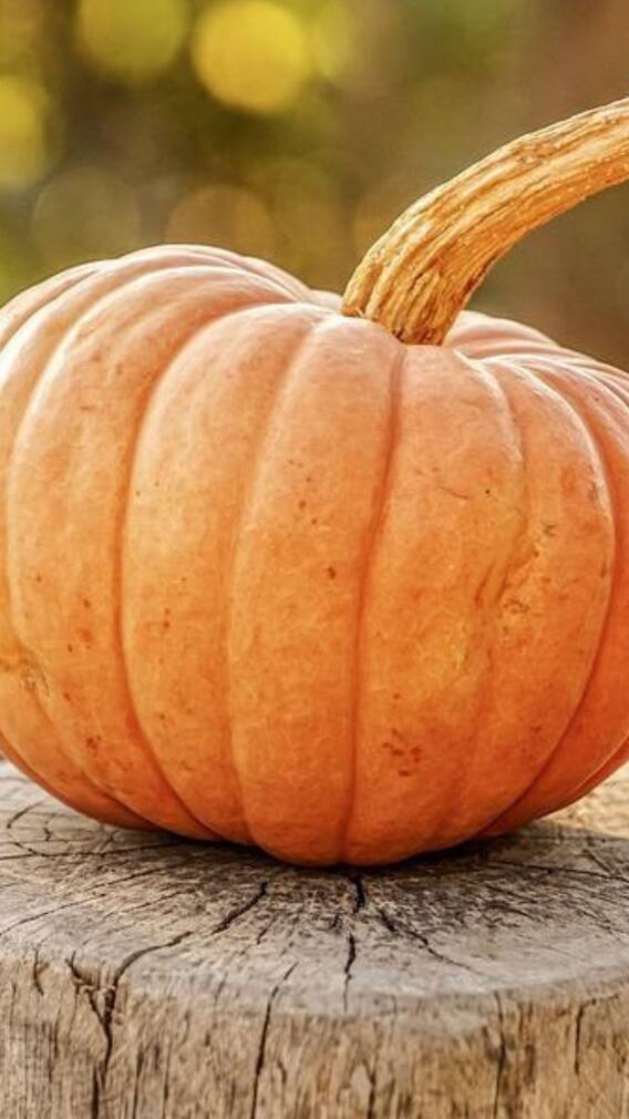 কুমড়ো মধুমেহ রোগীদের জন্য কি স্বাস্থ্যকর?