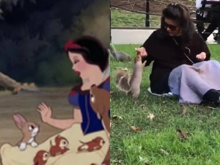 video of woman interacting with squirrels birds left netizens in awe Video Viral : ’அணில்கள், குருவிகள்தான் என் ஃப்ரெண்ட்ஸ்....’ : நெட்டிசன்கள் போற்றி நெகிழும் வீடியோ..