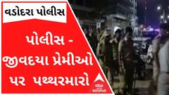 વડોદરાઃ પોલીસ- જીવદયા પ્રેમીઓ પર વાસણા ભાયલીમાં પથ્થરમારો, જુઓ વીડિયો